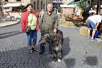 Bild: 30. Mittelalterfest in Bad Langensalza