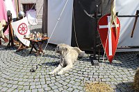 Bild: 30. Mittelalterfest in Bad Langensalza