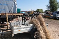 Bild: Motoren- und Maschinenschau zu Dreschfest in Sundhausen