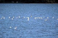Erster Besuch der Saison Bild: Erster Besuch der Saison