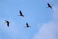 Erster Besuch der Saison Bild: Erster Besuch der Saison