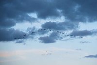 Erster Besuch der Saison Bild: Erster Besuch der Saison