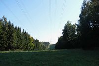 Peter Blei beim Waldspaziergang Bild: Peter Blei beim Waldspaziergang