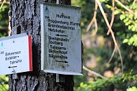 Peter Blei beim Waldspaziergang Bild: Peter Blei beim Waldspaziergang