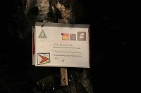 Peter Blei beim Waldspaziergang Bild: Peter Blei beim Waldspaziergang
