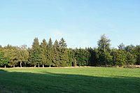 Peter Blei beim Waldspaziergang Bild: Peter Blei beim Waldspaziergang