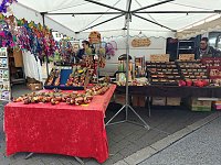 Bild: Zweibelmarkt in Artern