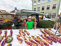 Bild: Zweibelmarkt in Artern