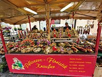 Bild: Zweibelmarkt in Artern