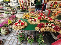Bild: Zweibelmarkt in Artern