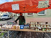 Bild: Zweibelmarkt in Artern