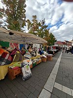 Bild: Zweibelmarkt in Artern