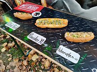 Foodtruck Festival Bild: Foodtruck Festival