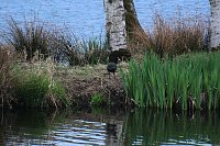 Bild: Peter Blei unterwegs in Stiege