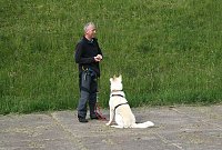 Therapie-Hunde am Stausee Kelbra Bild: Therapie-Hunde am Stausee Kelbra