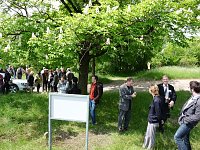 Bild: Tag der Parke