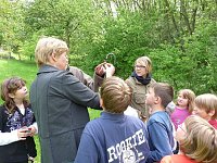 Bild: Tag der Parke