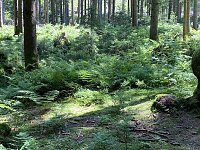Wandertouren im Juni Bild: Wandertouren im Juni