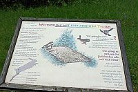 Bild: Tag der Parke
