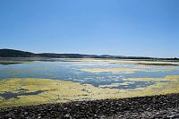 Bild: Peter Blei unterwegs am Stausee Kelbra 