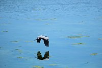 Bild: Peter Blei unterwegs am Stausee Kelbra 