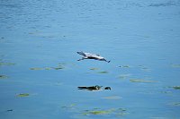 Bild: Peter Blei unterwegs am Stausee Kelbra 