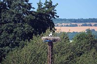 Bild: Peter Blei unterwegs am Stausee Kelbra 