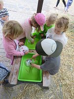 Sommerspaß mit den Kindern der Kindervilla in Bad Frankenhausen Bild: Sommerspaß mit den Kindern der Kindervilla in Bad Frankenhausen