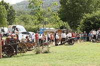 Kanonendonner auf der Pfalz Tilleda Bild: Kanonendonner auf der Pfalz Tilleda