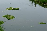 Bild: Radwandertag