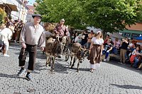 31.Mittelalterstadtfest Bad Langensalza Bild: 31.Mittelalterstadtfest Bad Langensalza