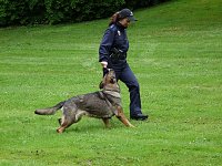 Tag der offenen Tür Polizei Bild: Tag der offenen Tür Polizei