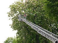 Vorsicht, Vorfahrt geändert! Bild: Vorsicht, Vorfahrt geändert!