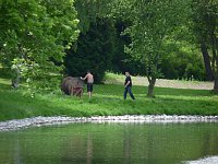 Bild: Bel&uuml;ftung Parksee