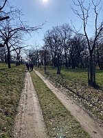 Bild: Impressionen von den  Wanderausfl&uuml;gen der Hainleite-Gruppe. 