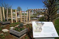 Impressionen von derEröffnung der Landesgartenschau in Leinefelde. Bild: Impressionen von derEröffnung der Landesgartenschau in Leinefelde.