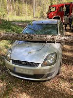 Der Unfall passierte in einem Waldstück bei Schernberg. Bild: Der Unfall passierte in einem Waldstück bei Schernberg.