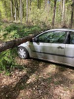 Der Unfall passierte in einem Waldstück bei Schernberg. Bild: Der Unfall passierte in einem Waldstück bei Schernberg.