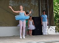 Fest der Vereine Bild: Fest der Vereine