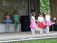 Fest der Vereine Bild: Fest der Vereine