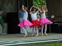 Fest der Vereine Bild: Fest der Vereine