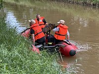 Bild: In Sondershausen wird ein Mensch gesucht, der wohlm&ouml;glich in die Wipper gegangen ist.