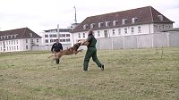 Bild: Offene T&uuml;ren bei der Polizei
