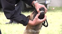 Bild: Offene T&uuml;ren bei der Polizei