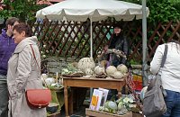 Bild: 20. Kunstmarkt