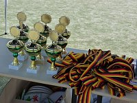 Bild: Mini-WM-2010