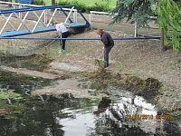 Arbeitseinsatz im Schwimmbad Bild: Arbeitseinsatz im Schwimmbad
