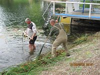 Arbeitseinsatz im Schwimmbad Bild: Arbeitseinsatz im Schwimmbad