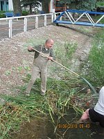 Arbeitseinsatz im Schwimmbad Bild: Arbeitseinsatz im Schwimmbad