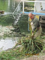 Arbeitseinsatz im Schwimmbad Bild: Arbeitseinsatz im Schwimmbad